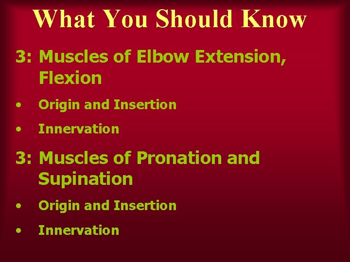 What You Should Know 3: Muscles of Elbow Extension, Flexion • Origin and Insertion