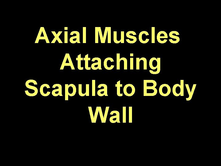Axial Muscles Attaching Scapula to Body Wall 