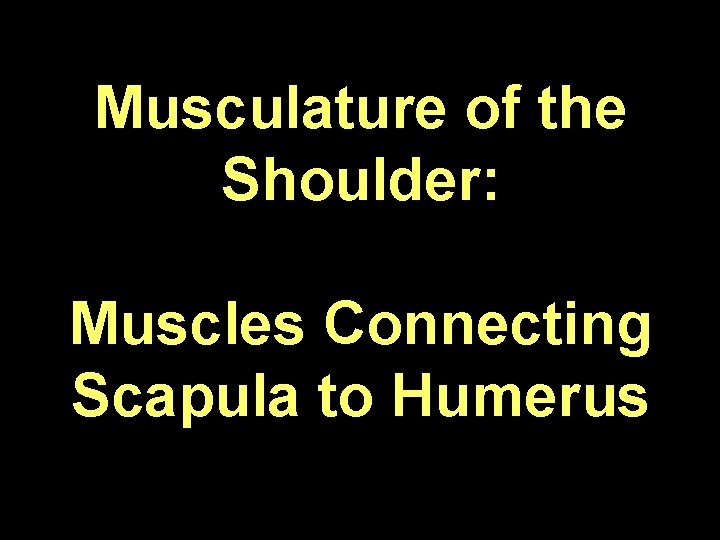 Musculature of the Shoulder: Muscles Connecting Scapula to Humerus 