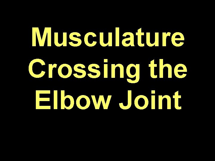 Musculature Crossing the Elbow Joint 