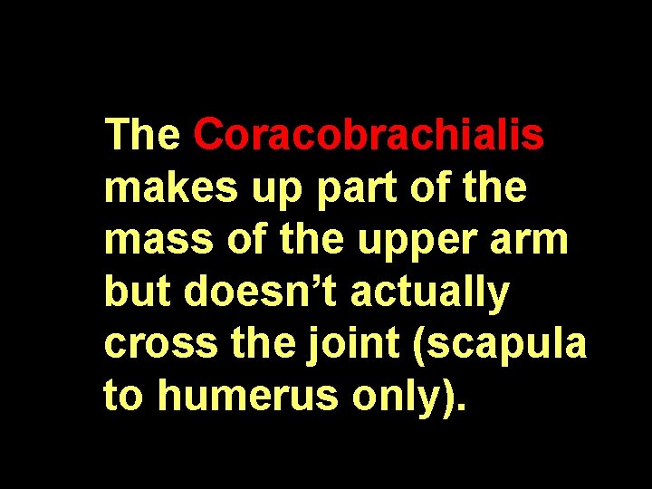 The Coracobrachialis makes up part of the mass of the upper arm but doesn’t