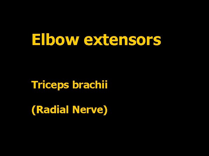 Elbow extensors Triceps brachii (Radial Nerve) 