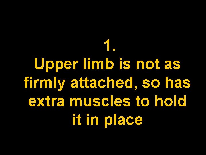 1. Upper limb is not as firmly attached, so has extra muscles to hold