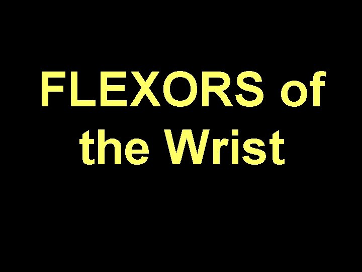 FLEXORS of the Wrist 