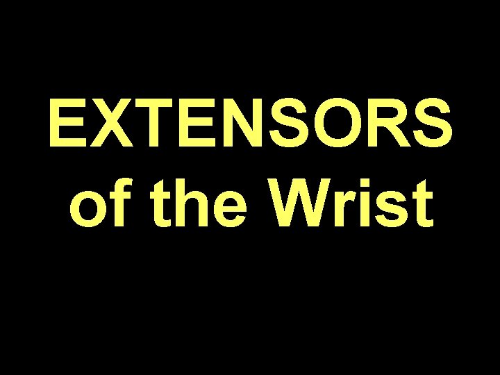 EXTENSORS of the Wrist 