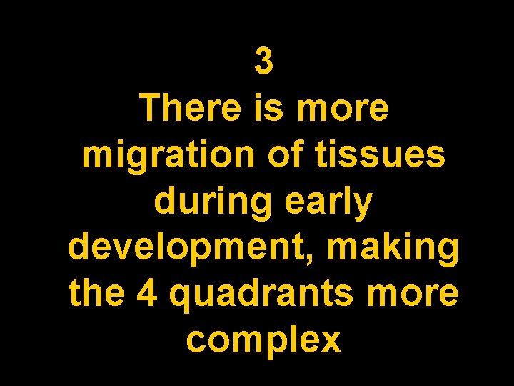 3 There is more migration of tissues during early development, making the 4 quadrants