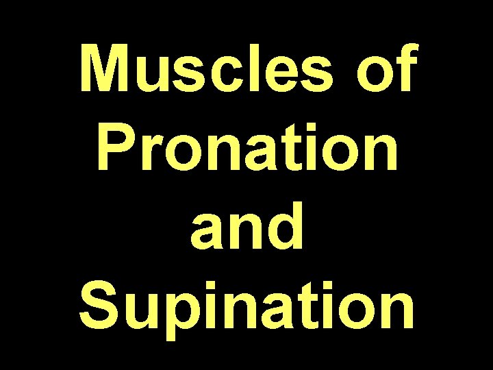 Muscles of Pronation and Supination 