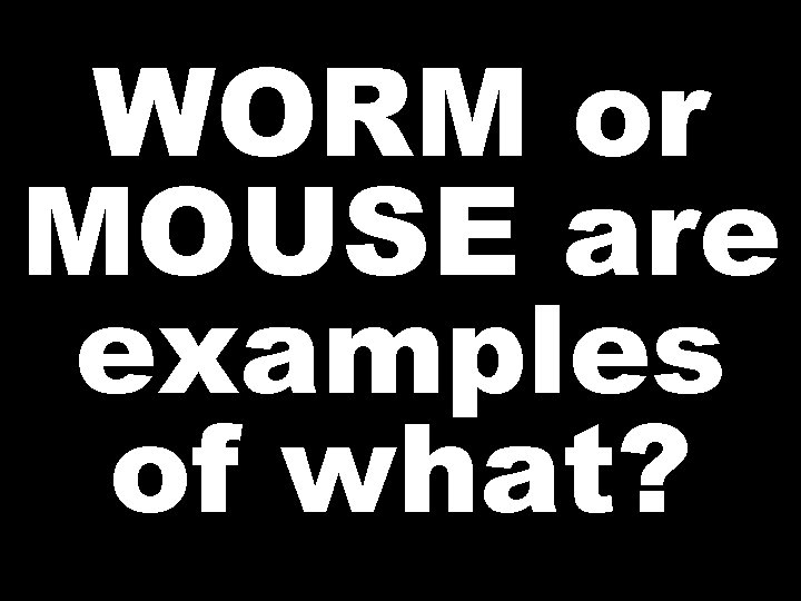 WORM or MOUSE are examples of what? 