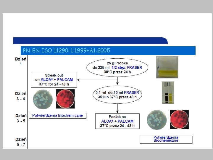 PN-EN ISO 11290 -1: 1999+A 1: 2005 