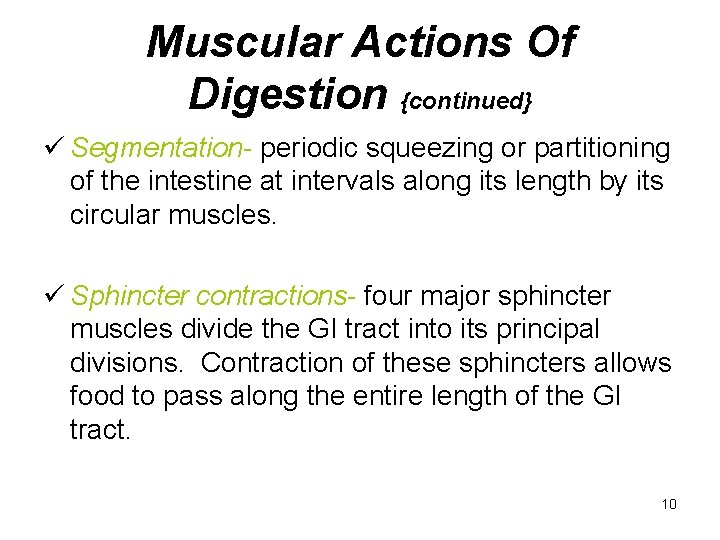 Muscular Actions Of Digestion {continued} ü Segmentation- periodic squeezing or partitioning of the intestine