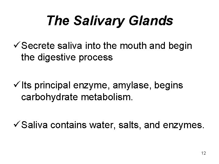 The Salivary Glands ü Secrete saliva into the mouth and begin the digestive process