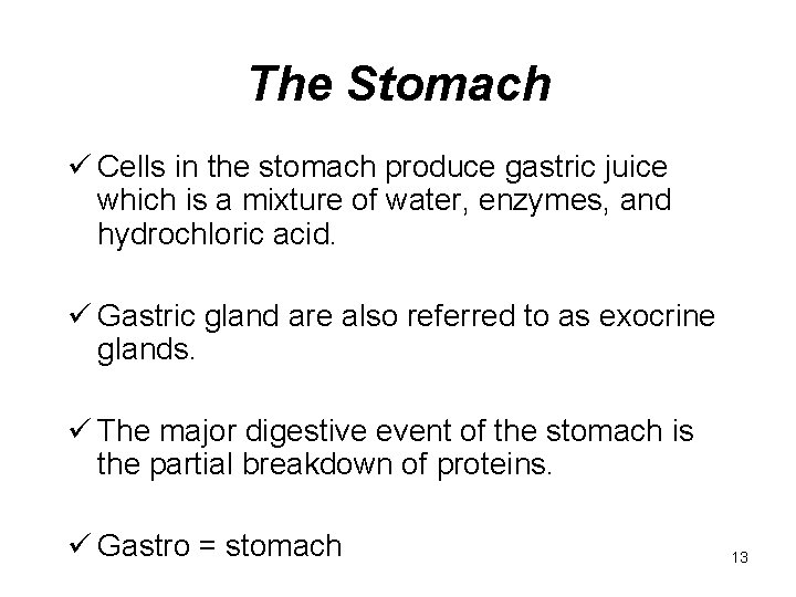 The Stomach ü Cells in the stomach produce gastric juice which is a mixture
