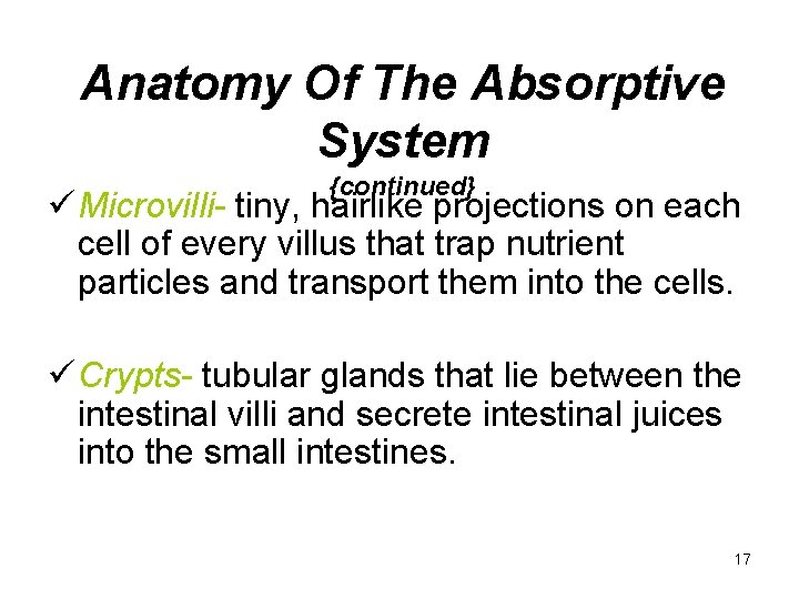 Anatomy Of The Absorptive System {continued} ü Microvilli- tiny, hairlike projections on each cell