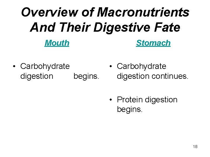 Overview of Macronutrients And Their Digestive Fate Mouth • Carbohydrate digestion begins. Stomach •