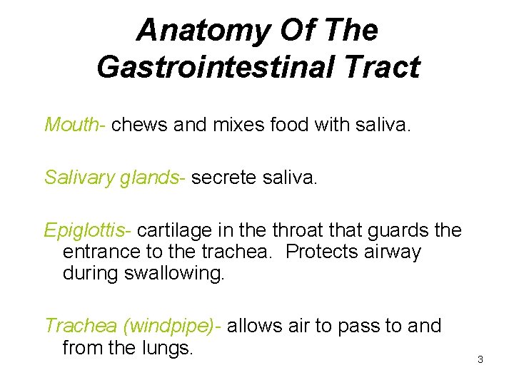 Anatomy Of The Gastrointestinal Tract Mouth- chews and mixes food with saliva. Salivary glands-