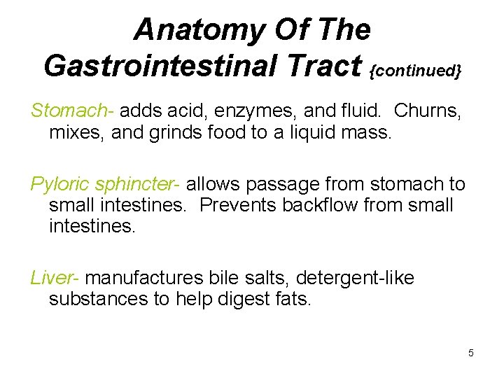 Anatomy Of The Gastrointestinal Tract {continued} Stomach- adds acid, enzymes, and fluid. Churns, mixes,