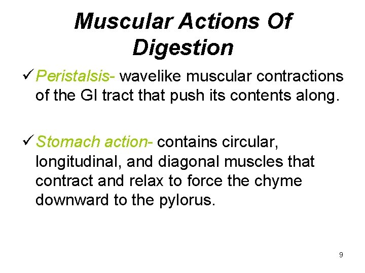 Muscular Actions Of Digestion ü Peristalsis- wavelike muscular contractions of the GI tract that