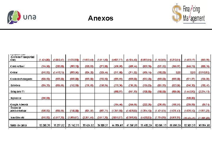 Anexos 