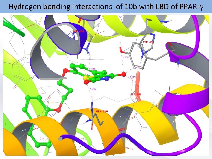 Hydrogen bonding interactions of 10 b with LBD of PPAR-γ 30 