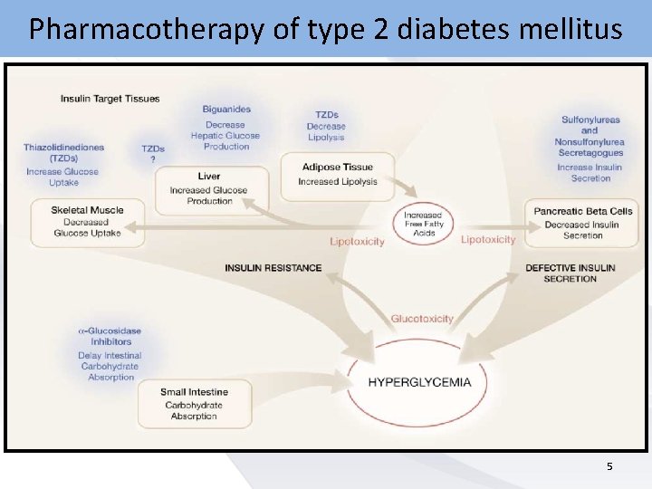 Pharmacotherapy of type 2 diabetes mellitus 5 