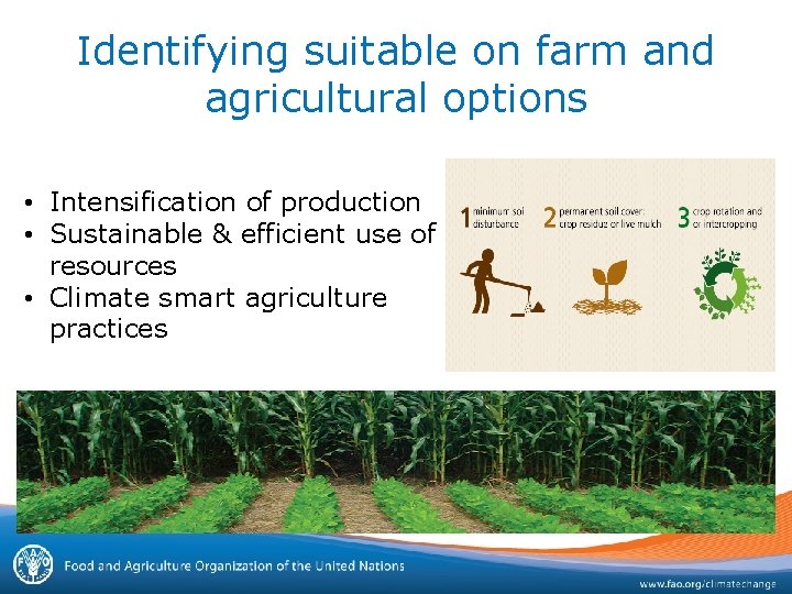 Identifying suitable on farm and agricultural options • Intensification of production • Sustainable &