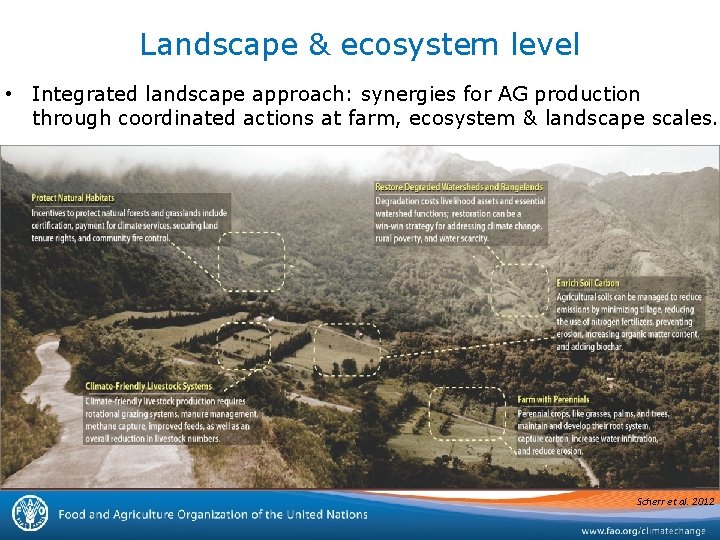Landscape & ecosystem level • Integrated landscape approach: synergies for AG production through coordinated