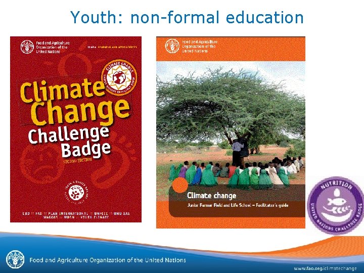 Youth: non-formal education 