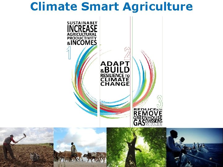 Climate Smart Agriculture 6 