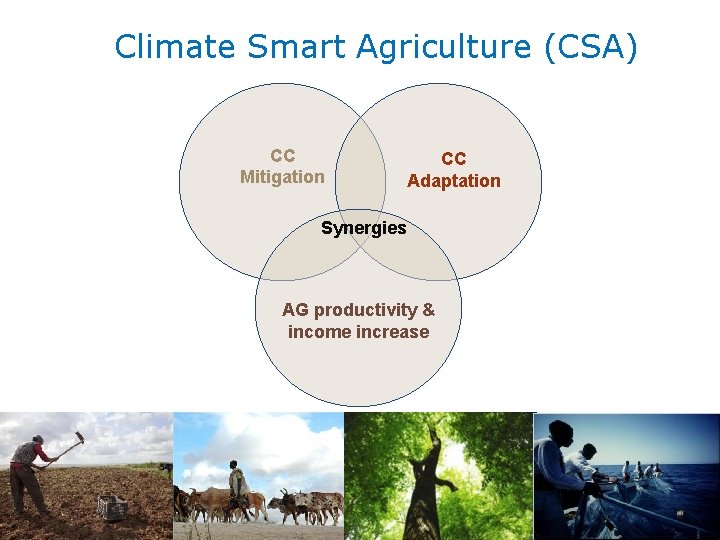 Climate Smart Agriculture (CSA) CC Mitigation CC Adaptation Synergies AG productivity & income increase