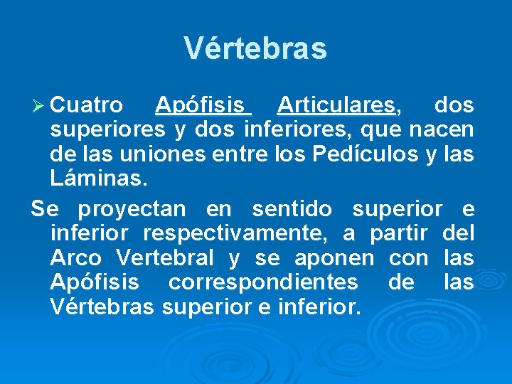 Vértebras Ø Cuatro Apófisis Articulares, dos superiores y dos inferiores, que nacen de las Vértebras Ø Cuatro Apófisis Articulares, dos superiores y dos inferiores, que nacen de las