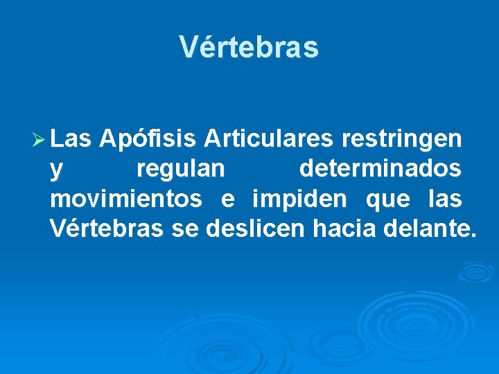 Vértebras Ø Las Apófisis Articulares restringen y regulan determinados movimientos e impiden que las