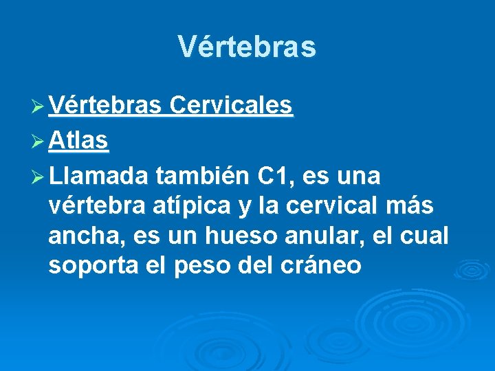 Vértebras Ø Vértebras Cervicales Ø Atlas Ø Llamada también C 1, es una vértebra