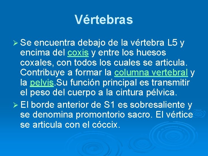 Vértebras Ø Se encuentra debajo de la vértebra L 5 y encima del coxis