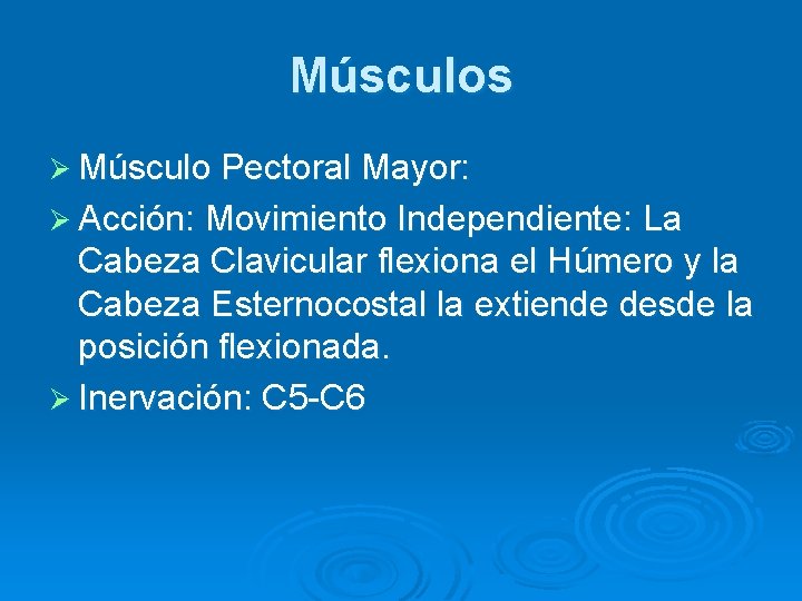 Músculos Ø Músculo Pectoral Mayor: Ø Acción: Movimiento Independiente: La Cabeza Clavicular flexiona el