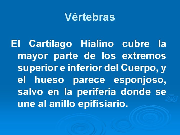 Vértebras El Cartílago Hialino cubre la mayor parte de los extremos superior e inferior