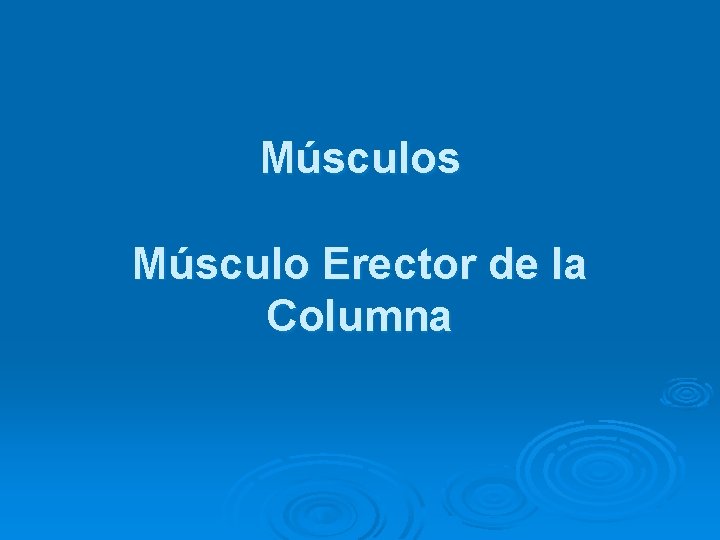 Músculos Músculo Erector de la Columna 