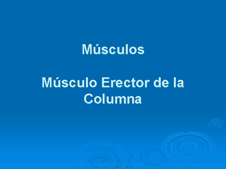 Músculos Músculo Erector de la Columna Músculos Músculo Erector de la Columna