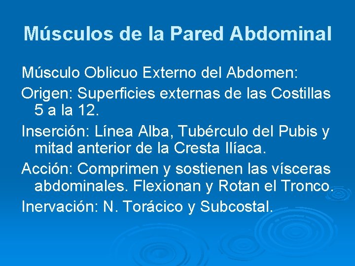 Músculos de la Pared Abdominal Músculo Oblicuo Externo del Abdomen: Origen: Superficies externas de