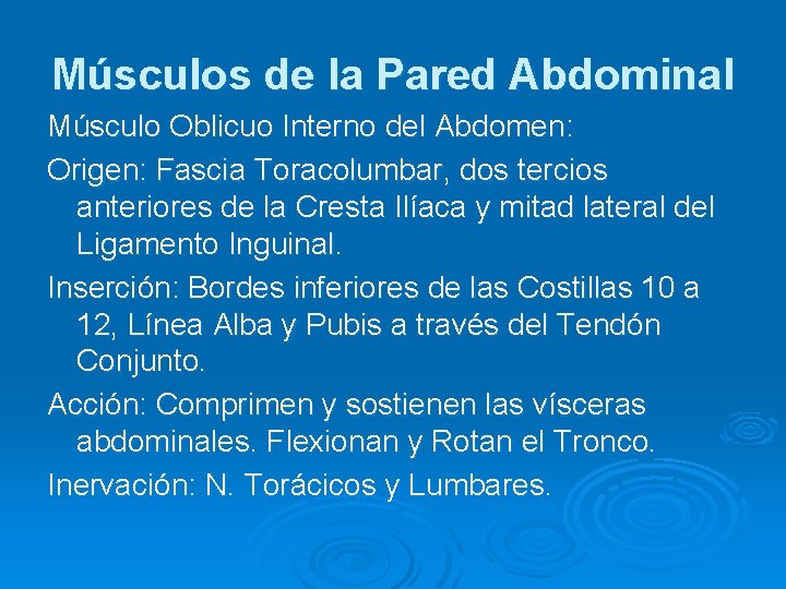 Músculos de la Pared Abdominal Músculo Oblicuo Interno del Abdomen: Origen: Fascia Toracolumbar, dos