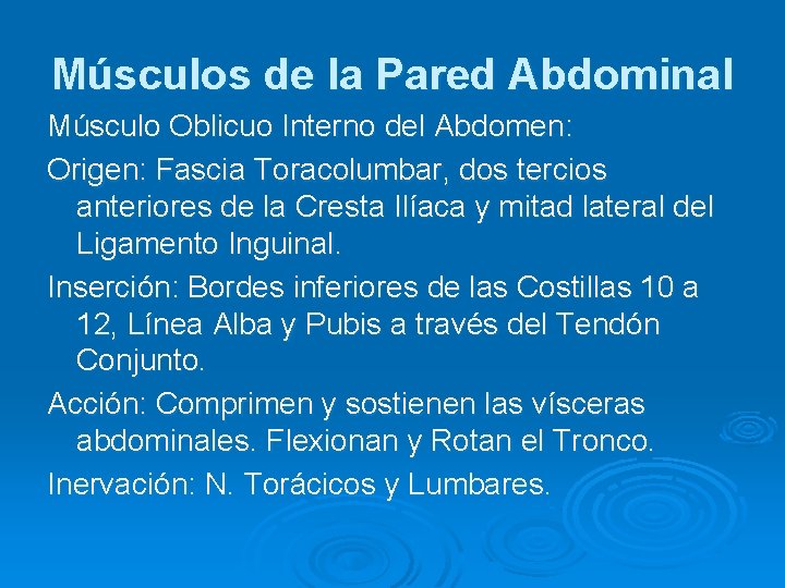 Músculos de la Pared Abdominal Músculo Oblicuo Interno del Abdomen: Origen: Fascia Toracolumbar, dos Músculos de la Pared Abdominal Músculo Oblicuo Interno del Abdomen: Origen: Fascia Toracolumbar, dos