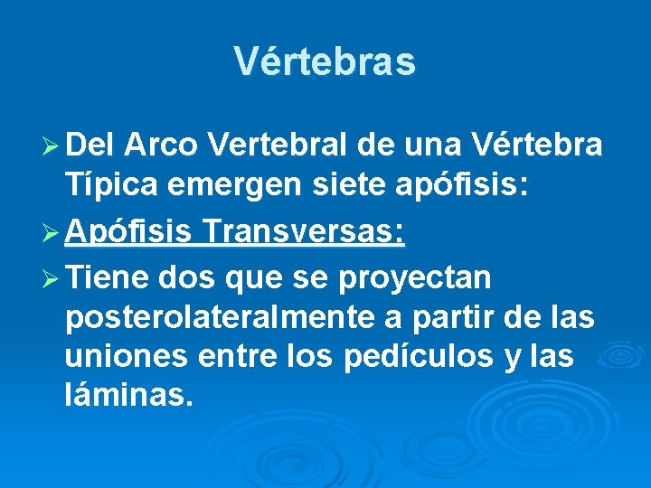 Vértebras Ø Del Arco Vertebral de una Vértebra Típica emergen siete apófisis: Ø Apófisis