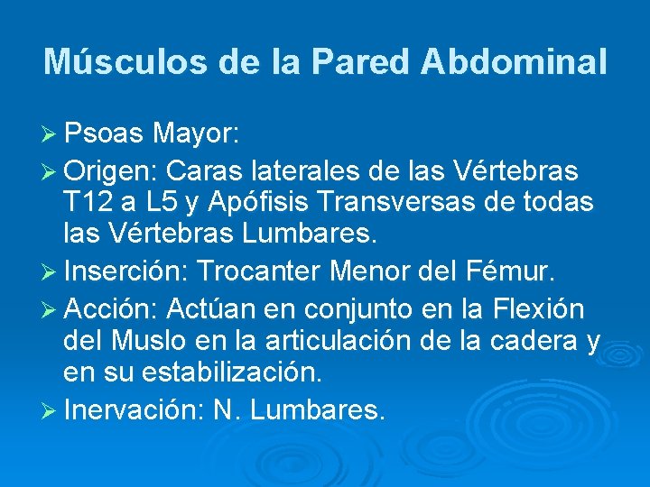 Músculos de la Pared Abdominal Ø Psoas Mayor: Ø Origen: Caras laterales de las