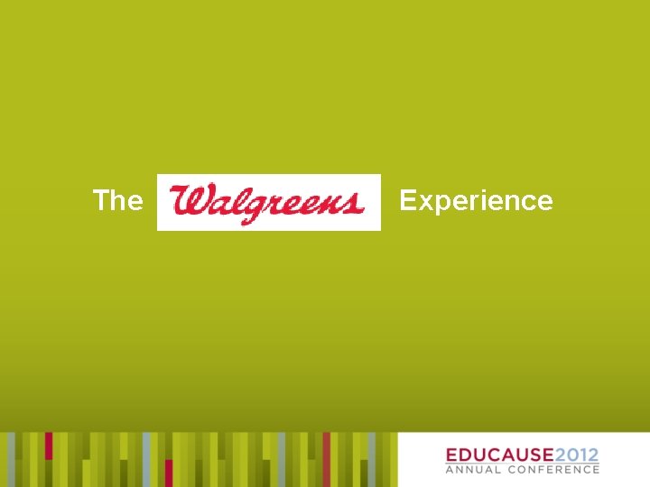 The Experience 