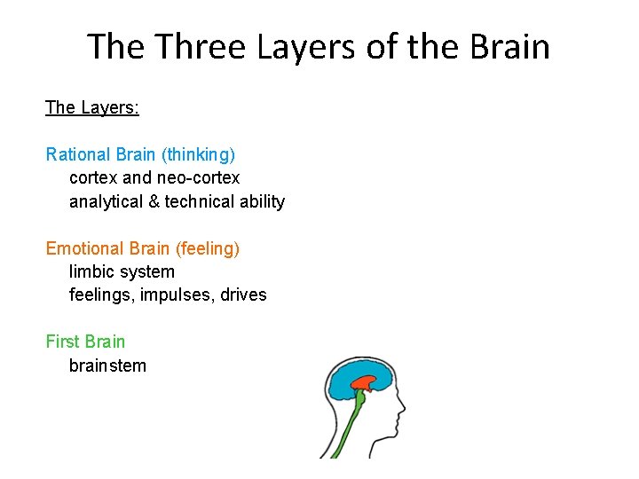 The Three Layers of the Brain The Layers: Rational Brain (thinking) cortex and neo-cortex
