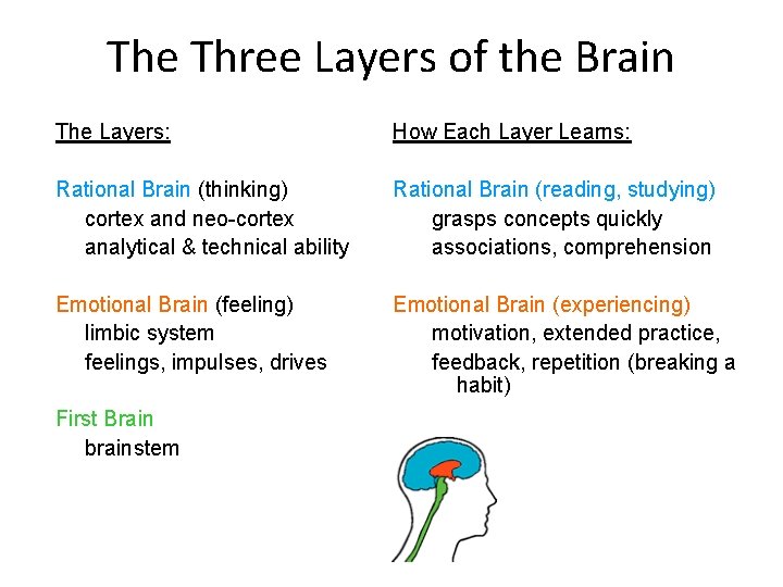 The Three Layers of the Brain The Layers: How Each Layer Learns: Rational Brain
