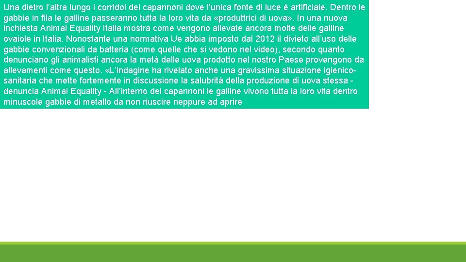 Una dietro l’altra lungo i corridoi dei capannoni dove l’unica fonte di luce è