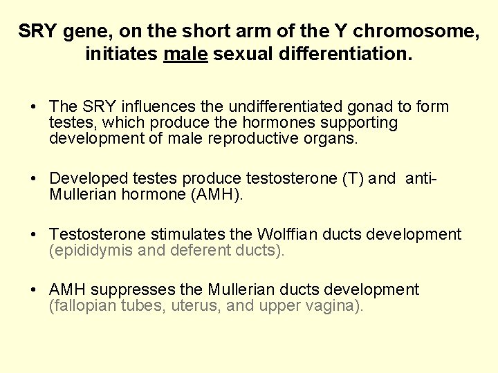 SRY gene, on the short arm of the Y chromosome, initiates male sexual differentiation.