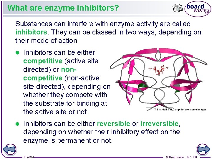 What are enzyme inhibitors? Substances can interfere with enzyme activity are called inhibitors. They