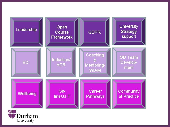 Open Course Framework GDPR University Strategy support EDI Induction/ ADR Coaching & ∂Mentoring/ WIAM