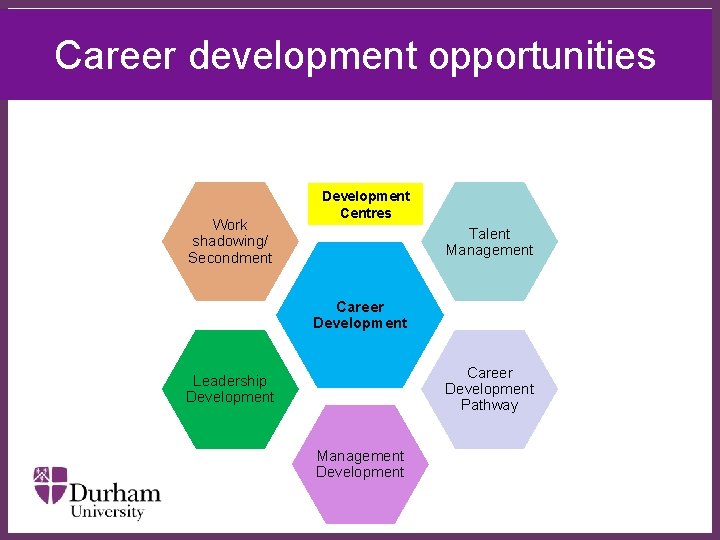 Career development opportunities Development Centre Work shadowing/ Secondment Development Centres Talent Management ∂ Career